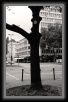 005.OstStrasse * 2192 x 3504 * (1.16MB)