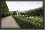 19.Palais.Royal.Jardin * 2722 x 1814 * (1.44MB)