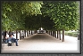 20.Palais.Royal.Jardin * 2678 x 1785 * (1.61MB)