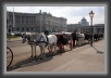 82.Hofburg.Heldenplatz * 3327 x 2229 * (1.98MB)