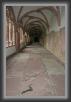 44.Wurzburg.Dom.Courtyard * 2336 x 3504 * (1.85MB)