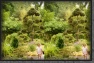 101.Chinesische.Garten.3D * 3492 x 2297 * (2.76MB)