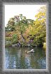 30.Hojo.Pond * 2592 x 3888 * (4.3MB)