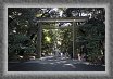 02.Torii.Gate.north * Yoyogi park is very different from the other parks I visited in Tokyo. It is very big, and being surrounded by this forest, with sun rays hardly touching the ground, and in proximity of the Meiji-Jungu shrine, you can hardly realize that you're in the middle of the Metropolis. * 3504 x 2336 * (2.58MB)